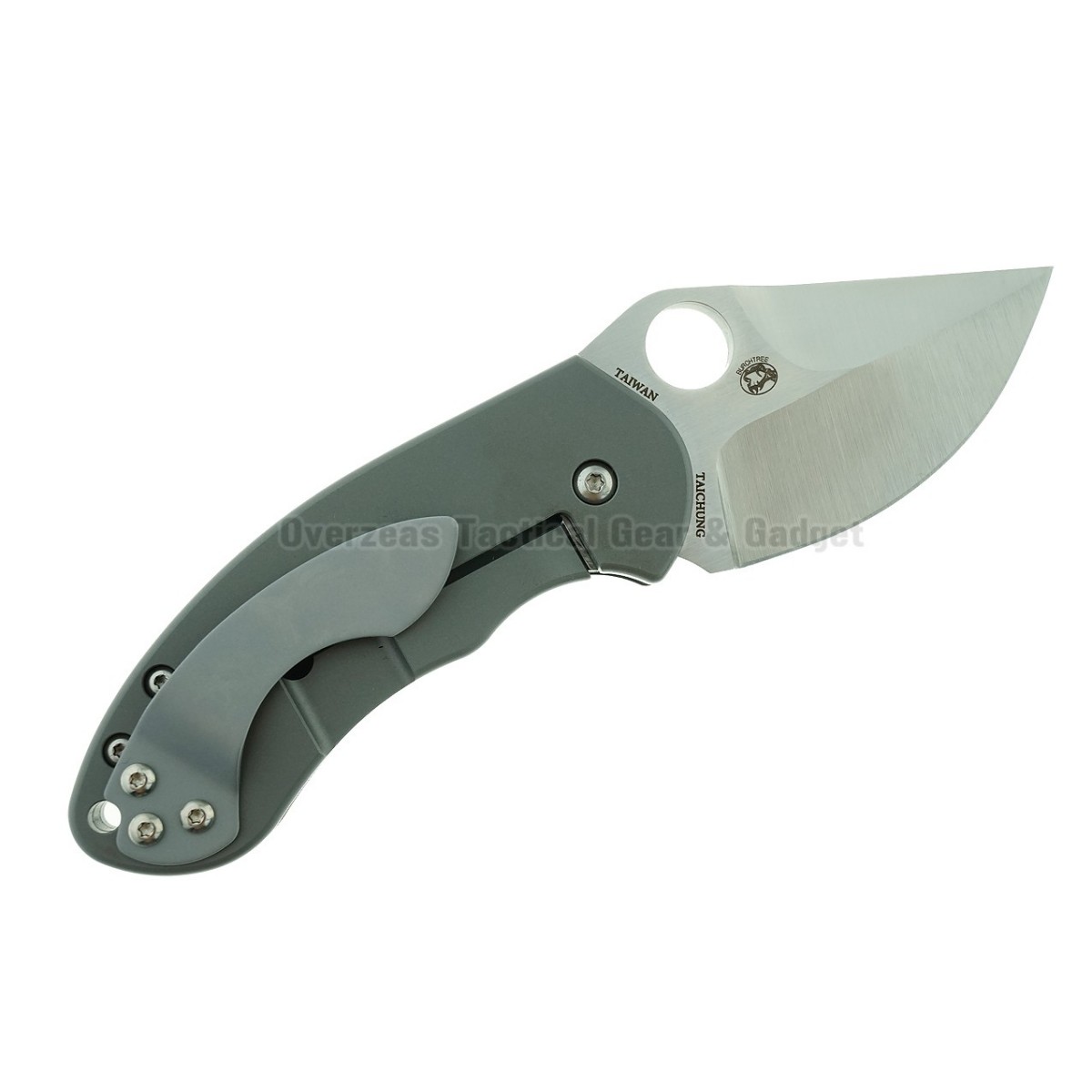 มีดพับ Spyderco Burch Chubby Frame Lock Knife Titanium (2.3" Satin) C183TIP