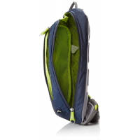 pacsafe venturesafe 325 gii