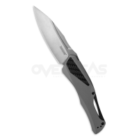 Kershaw Collateral Assisted Opening Knife TiNi Stainless Steel (D2 3.4" Satin),5500